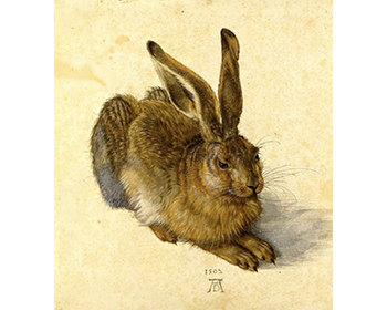 Influence sur Dürer