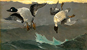 tableau de Homer